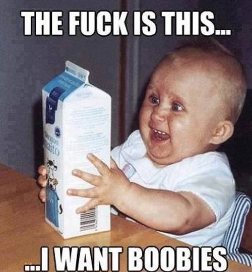 Funny Baby Meme The Is This I Want Boobies Image