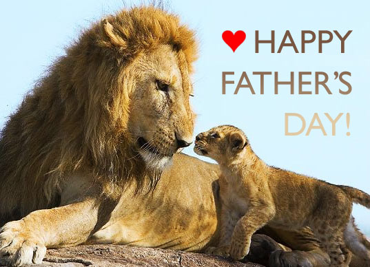 Happy Father's Day Lions Picture