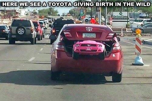 Here We See A Toyota Giving Birth In The Wild Funny Car Meme Image