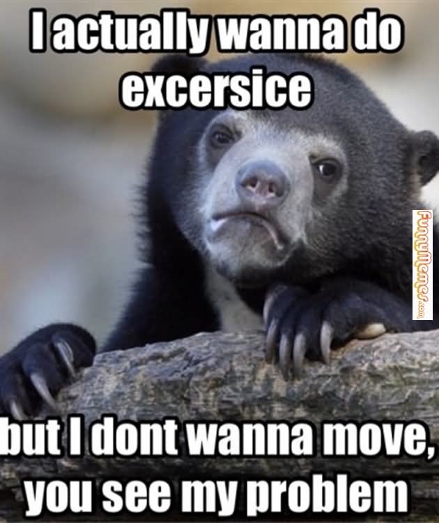 I Actually Wanna Do Exercise Funny Animal Bear Meme Picture
