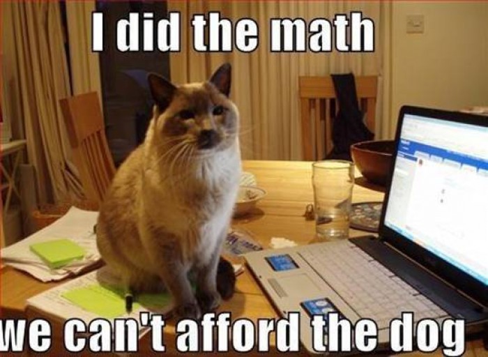 I Did The Math We Can't Afford The Dog Funny Animal Cat Meme Image For Facebook