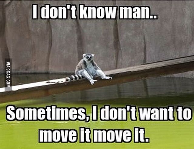 I Don't Know Man Sometimes I Don't want To Move It Move It Funny Animal Meme Image