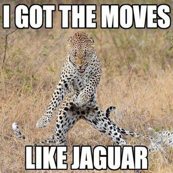 I Got The Moves Like Jaguar Funny Animal Meme Image