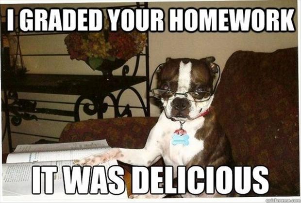 I Graded Your Homework It Was Delicious Funny Animal Dog Meme Picture