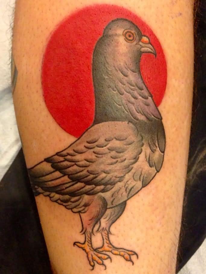 Impressive Pigeon Tattoo Design