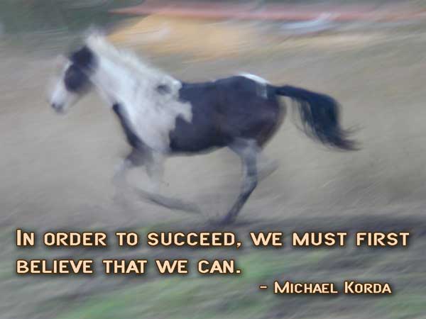 In Order To Succeed We Must First Believe That we can.