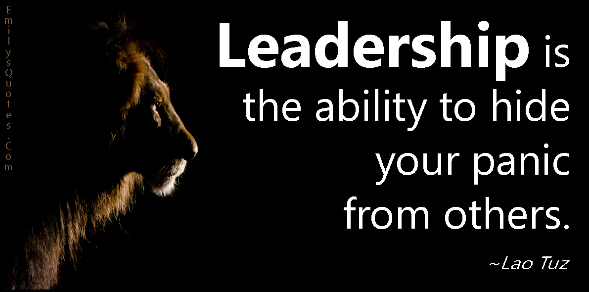 Leadership is the ability to hide your panic from others  - Lao Tzu