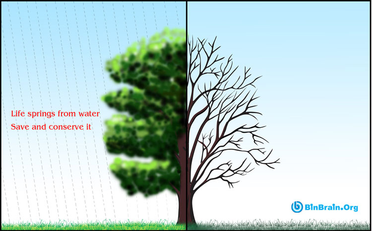 Life Springs From Water Save And Conserve It World Environment Day