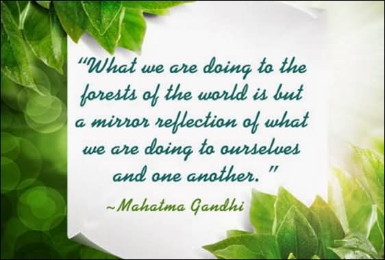 Mahatma Gandhi Quote On World Environment Day