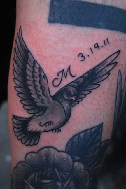 Memorial Black Ink Flying Pigeon Tattoo Design For Arm