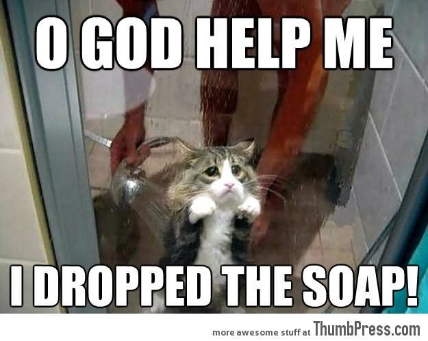 O God Help Me I Dropped The Soap Funny Animal Meme Picture