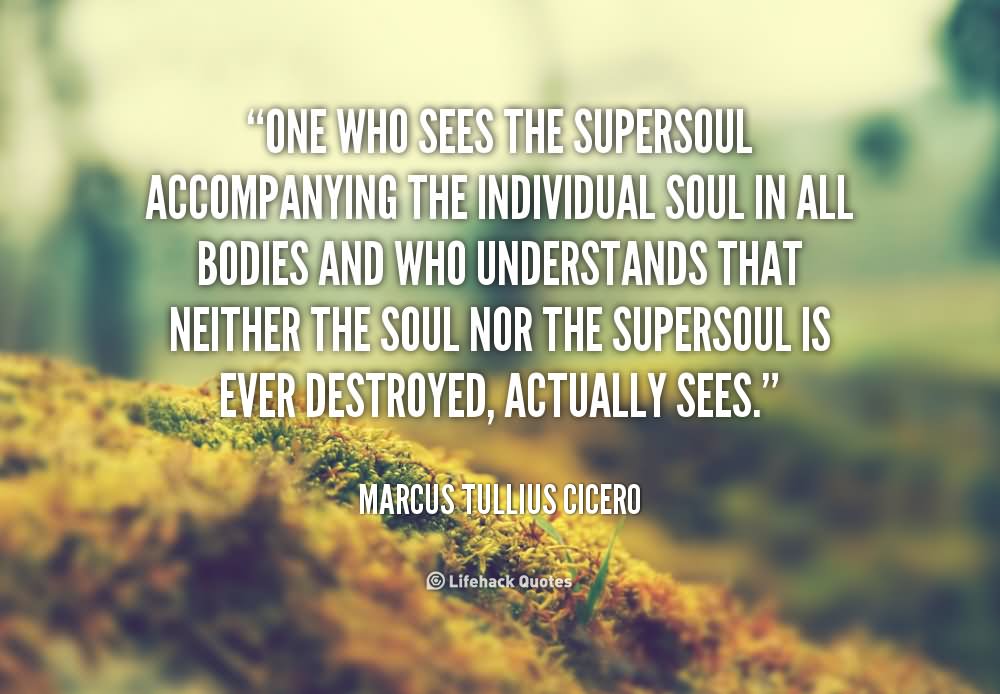 One who sees the Supersoul accompanying the individual soul in all bodies and who understands that neither the soul nor the Supersoul is ever destroyed, actually sees.