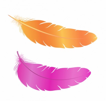 Orange And Pink Two Pigeon Feathers Tattoo Design