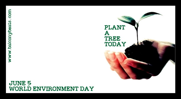 Plant A Tree Today June 5 World Environment Day