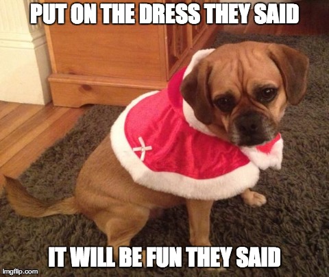 Put On The Dress They Said Funny Dress Meme Picture For Facebook