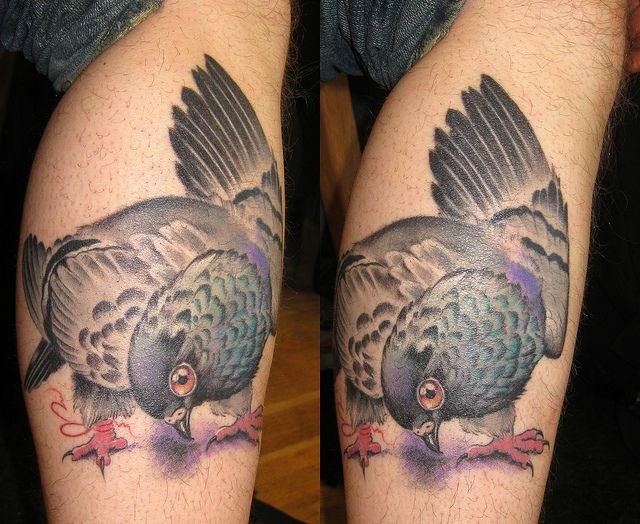 Realistic Pigeon Tattoo Design For Leg Calf