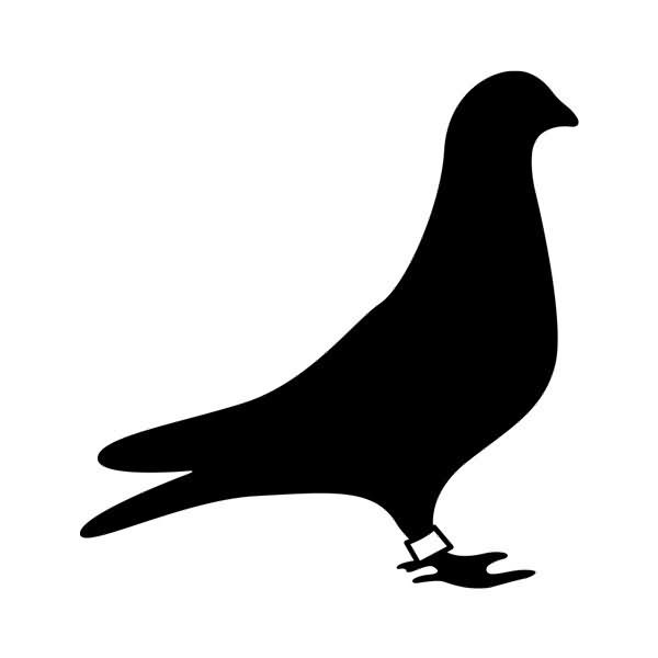 Silhouette Pigeon Tattoo Design