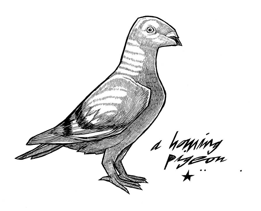 Simple Pigeon Tattoo Design