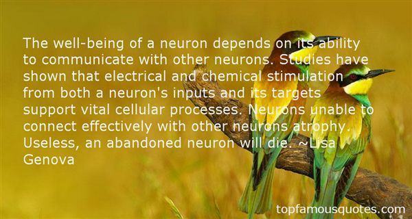 The well-being of a neuron depends on its ability to communicate with other neurons. Studies have shown that electrical and chemical stimulation from both a neuron's inputs and its targets support vital cellular processes. Neurons unable to connect effectively with other neurons atrophy. Useless, an abandoned neuron will die. 