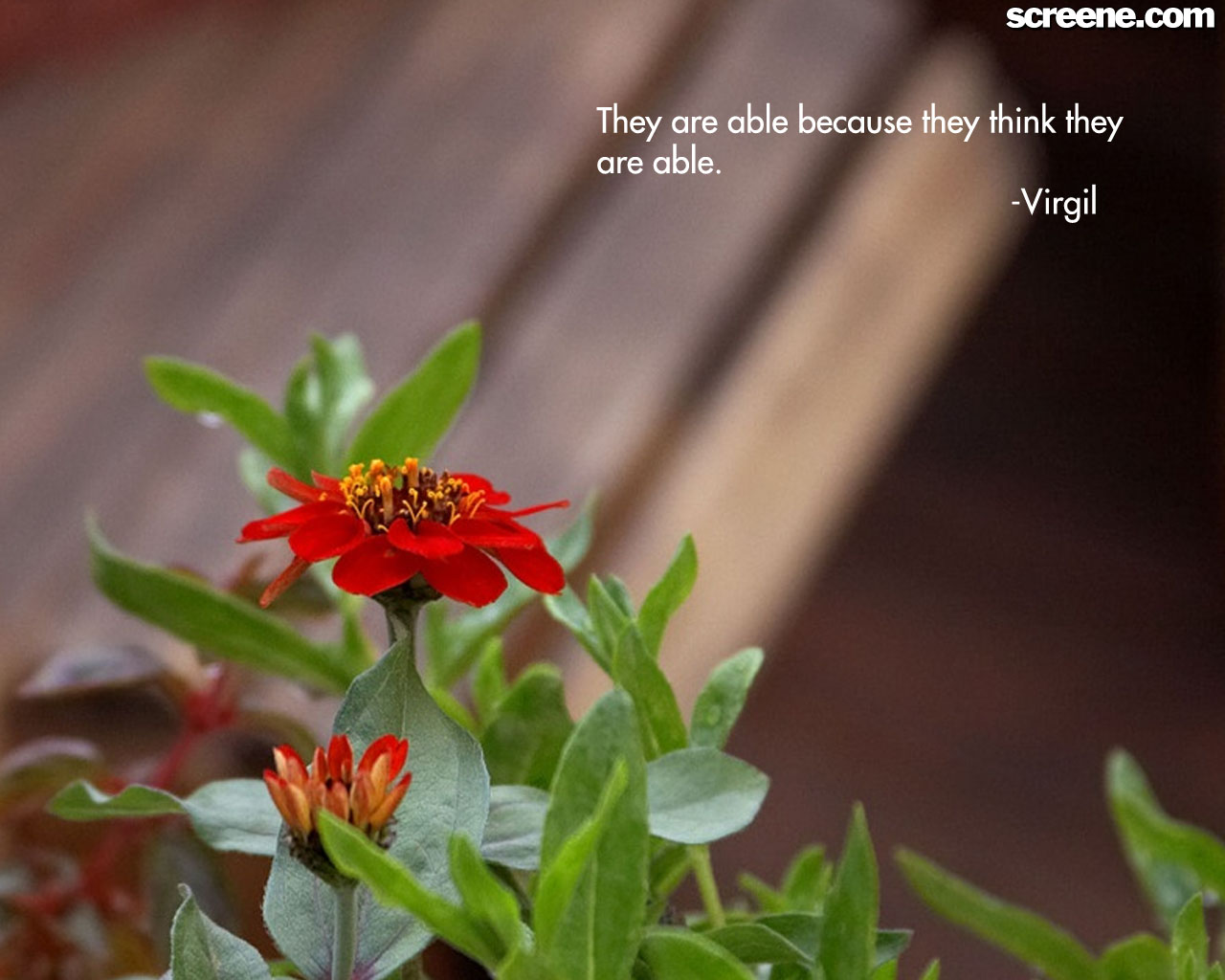They are able because they think they are able  - Virgil