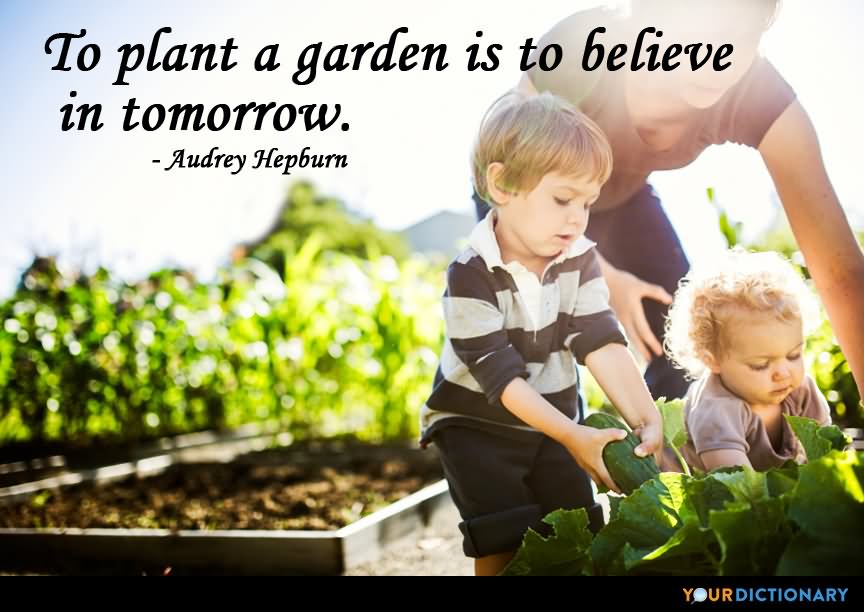To plant a garden is to believe in tomorrow  - Audrey Hepburn