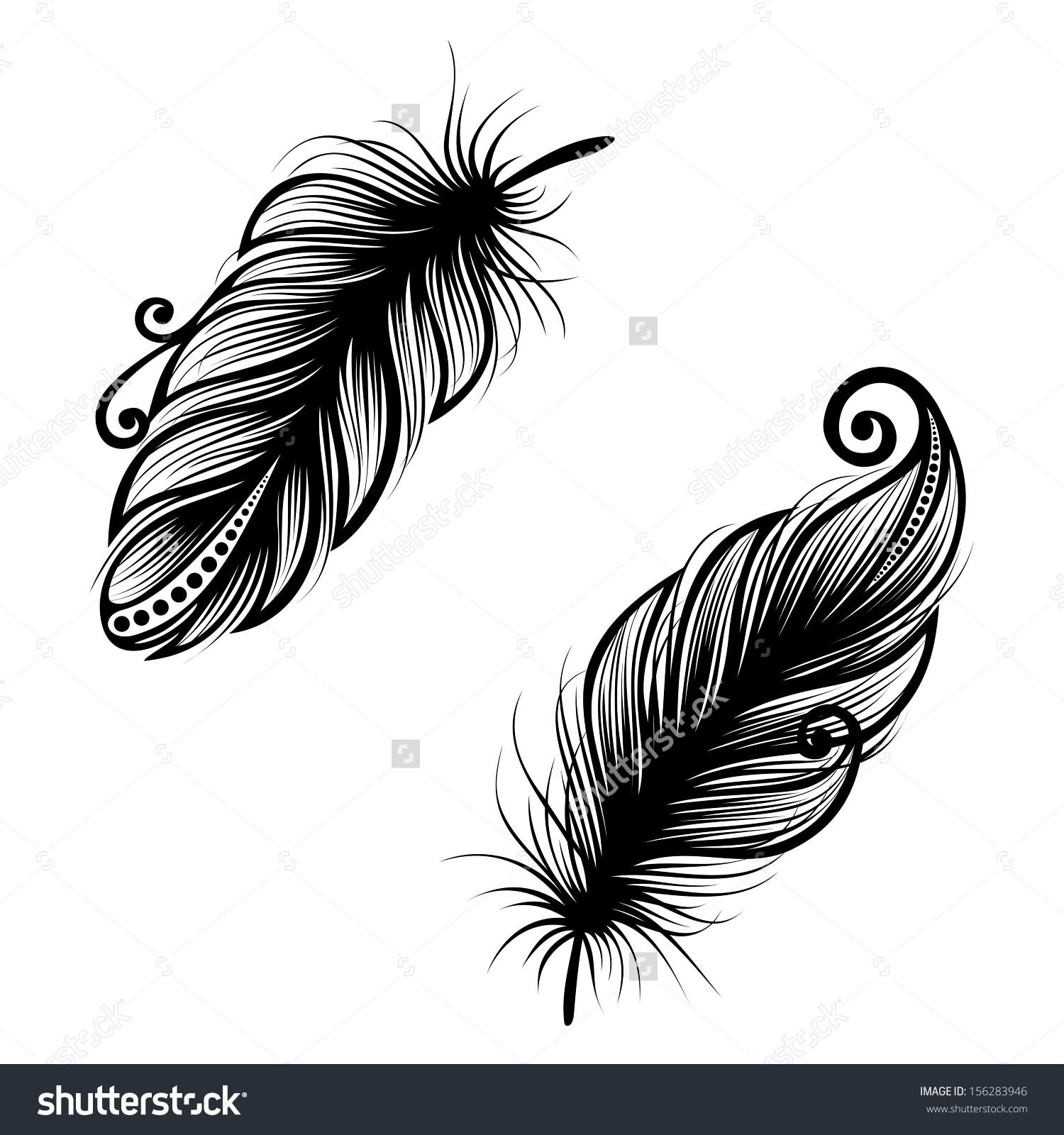 Unique Two Pigeon Feathers Tattoo Design