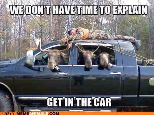 We Don't Have Time To Explain Get In The Car Funny Animal Meme Picture