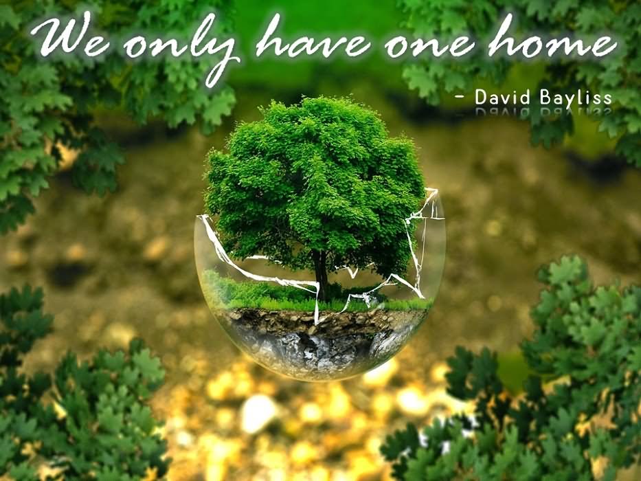 We Only Have One Home World Environment Day