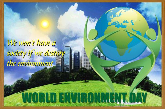 We Won't Have A Society If We Destroy The Environment  World Environment Day