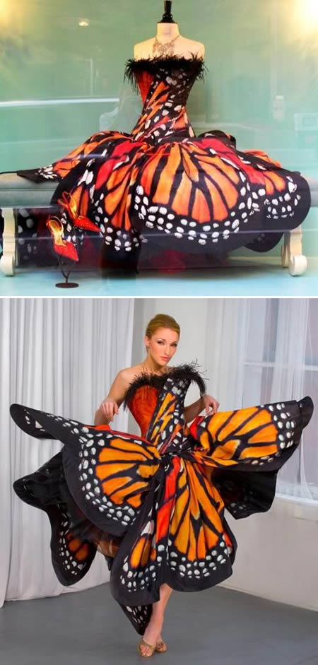 Weird Butterfly Dress Funny Picture