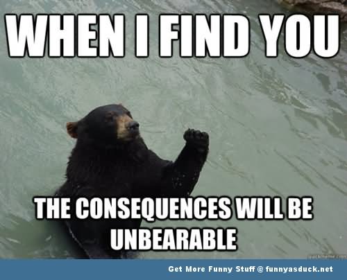 When I Find You The Consequences Will Be Unbearable Funny Animal Bear Meme Image