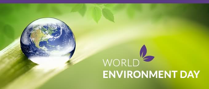 World Environment Day Facebook Cover Picture