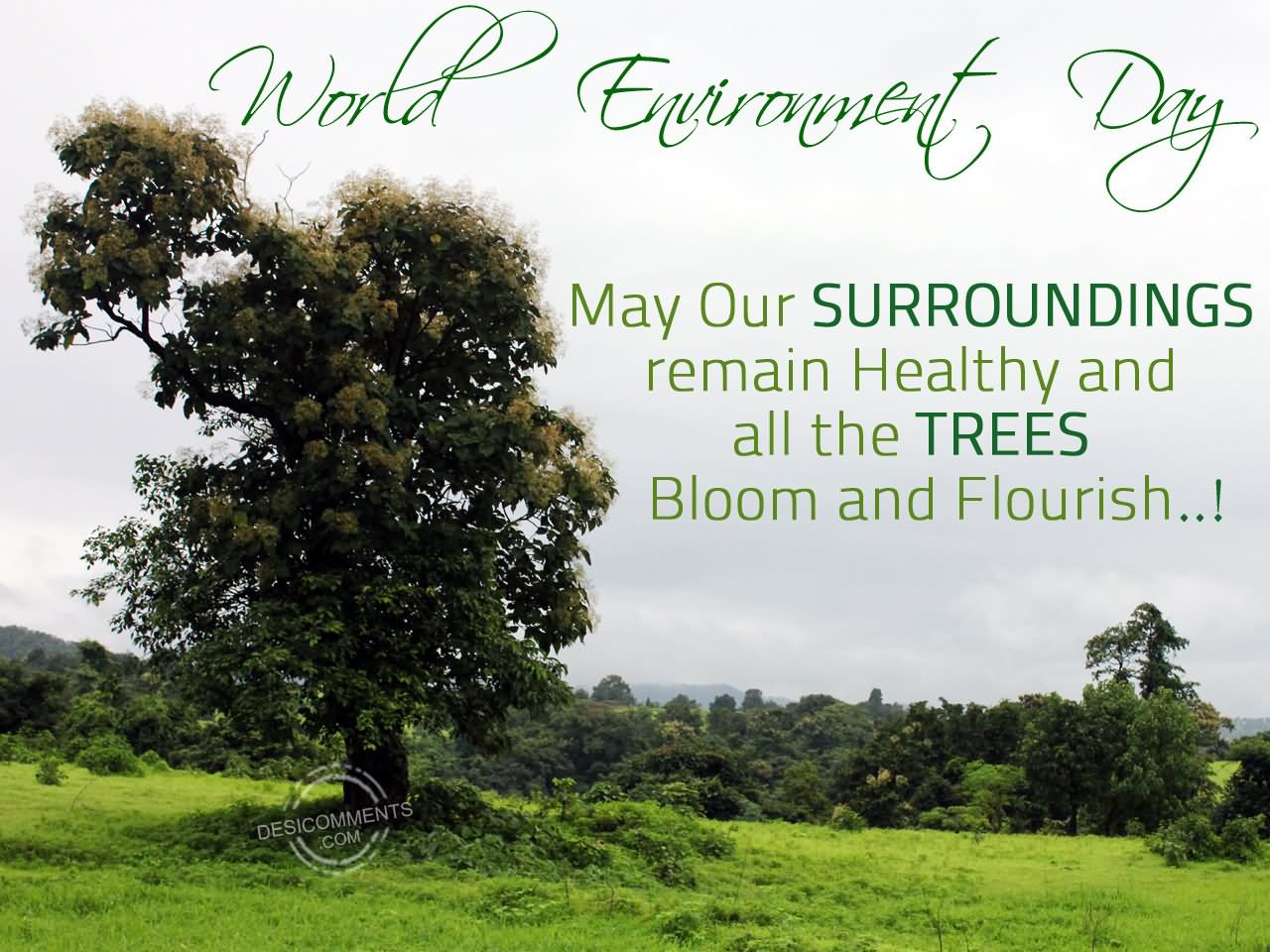 World Environment Day May Our Surroundings Remain Healthy And All The Trees Bloom And Flourish
