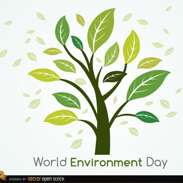 World Environment Day Tree Picture