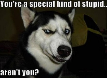 You Are A Special Kind Of Stupid Funny Animal Meme Image