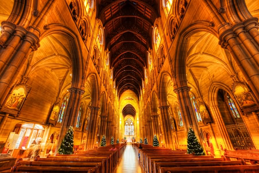 Adorable Inside View Of St. Mary's Cathedral Sydney
