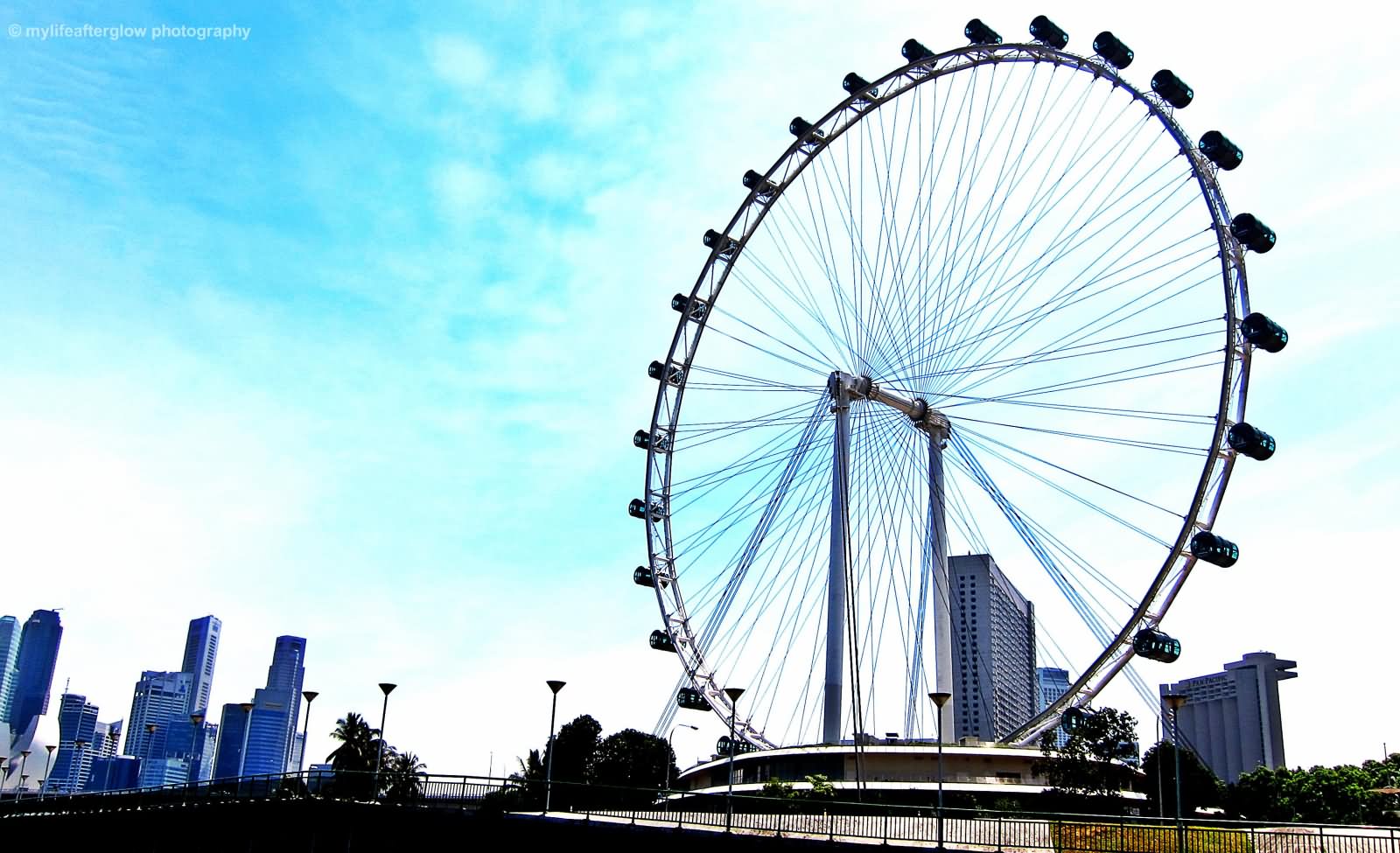 Adorable Picture Of Singapore Flyer