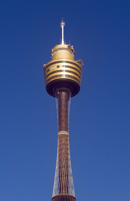 Adorable Sydney Tower Picture