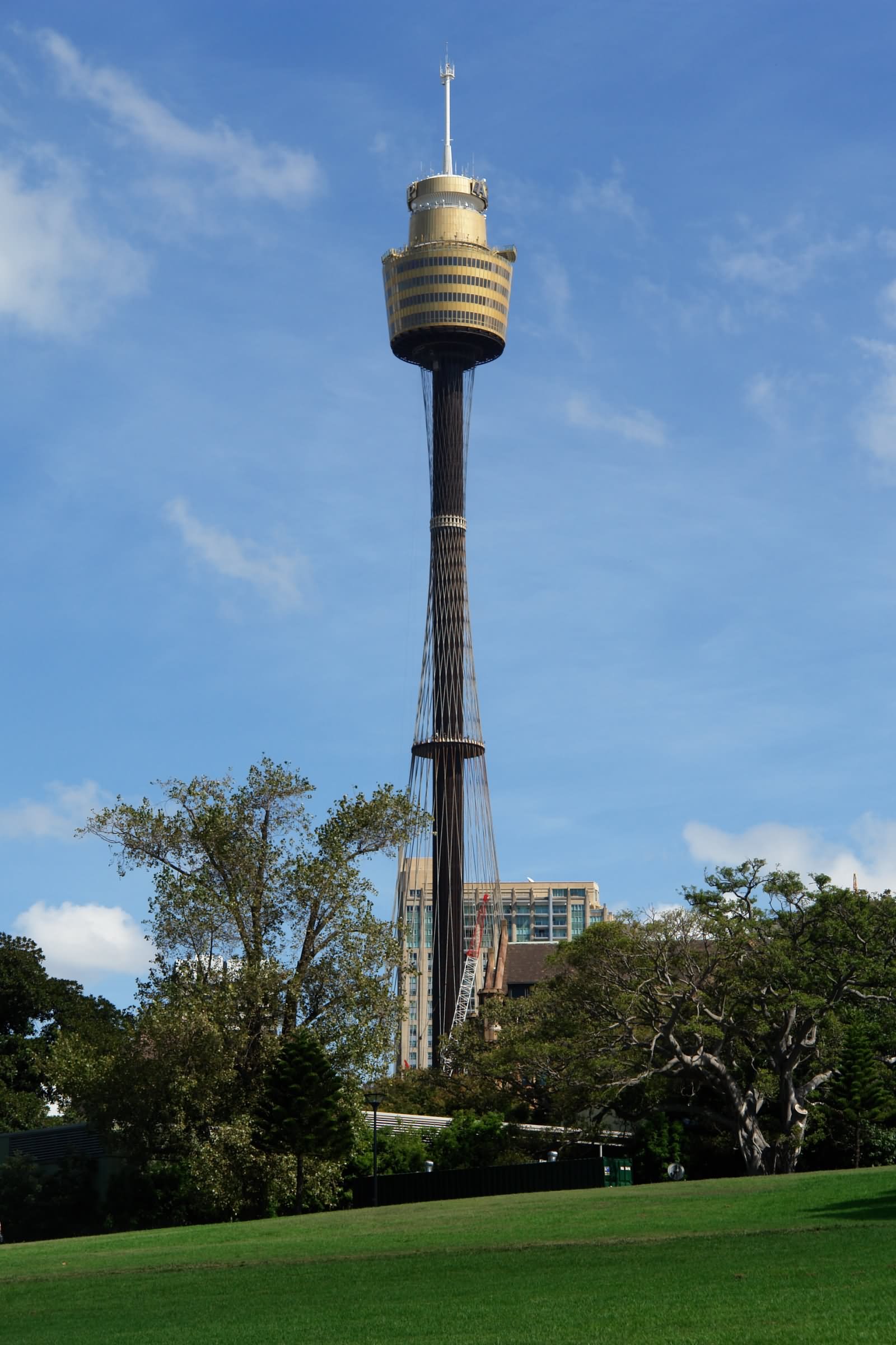 Amazing Picture Of Sydney Tower