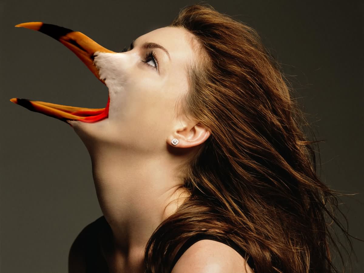 Anne Hathaway With Bird Beak Funny Photoshopped Face Picture