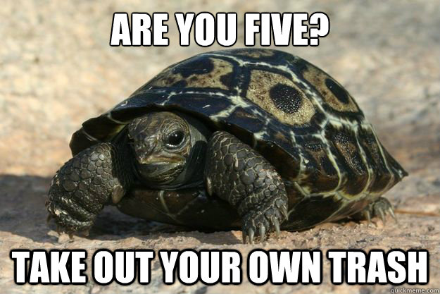Are You Five Take Out Your Own Trash Funny Tortoise Meme Photo