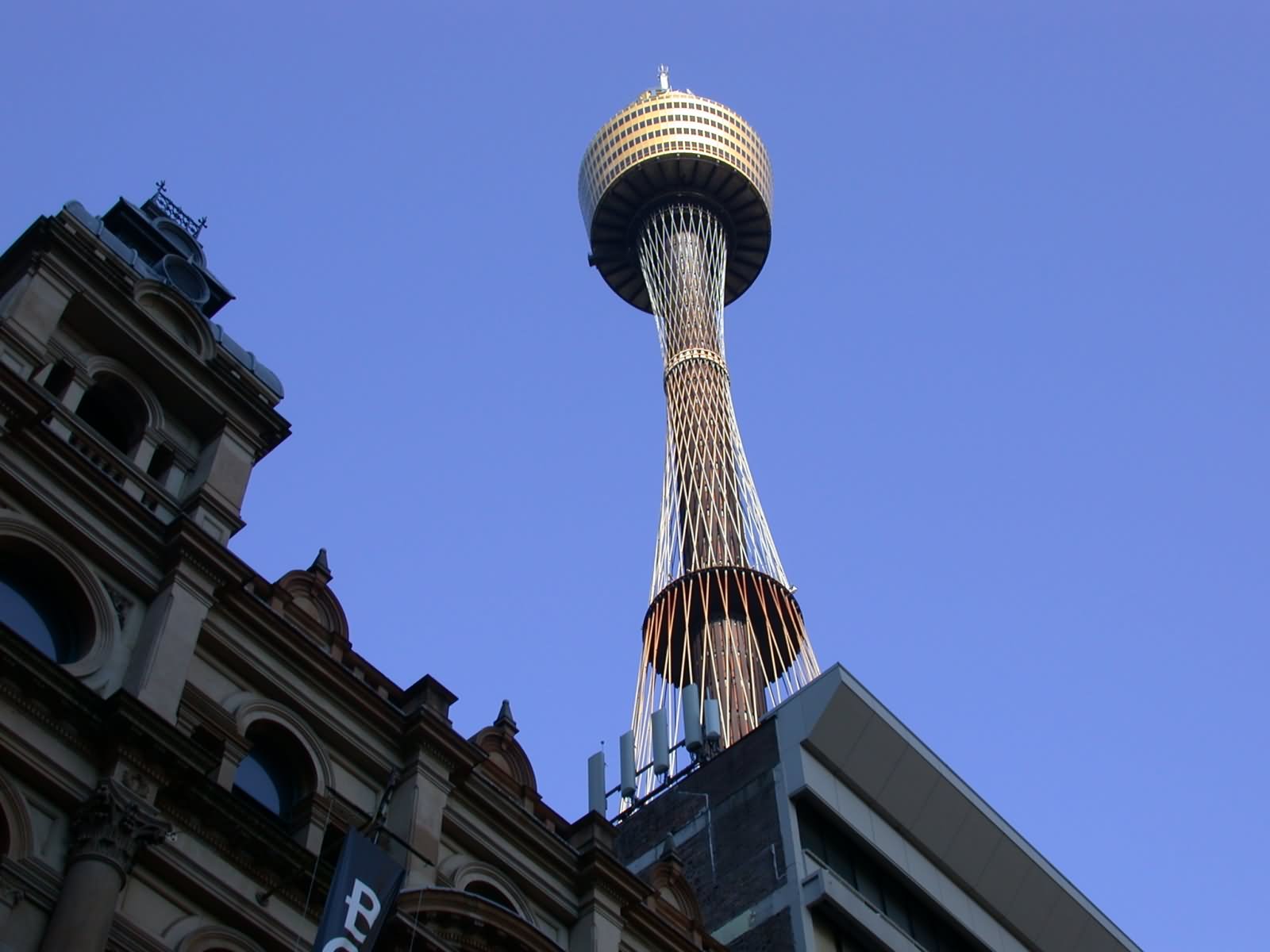 Awesome Click Of  Sydney Tower