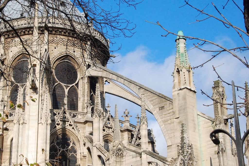 Awesome Flying Buttresses At Notre Dame de Paris