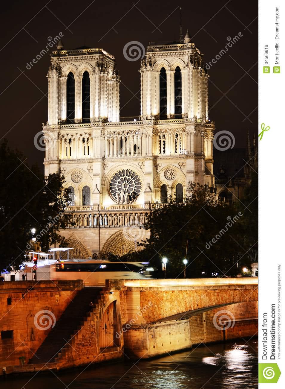 Awesome Night View of Notre Dame de Paris