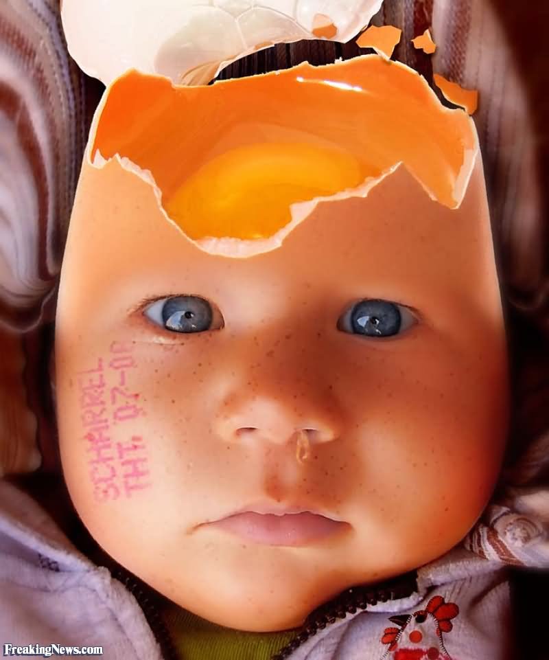 Baby Egg Head Funny Photoshop Picture