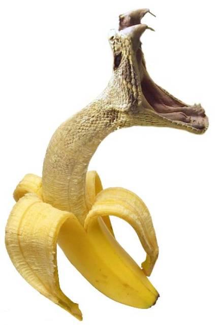 Banana With Angry Snake Face Funny Photoshopped Picture