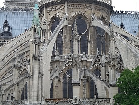 Beautiful Flying Buttresses At Notre Dame de Paris Picture