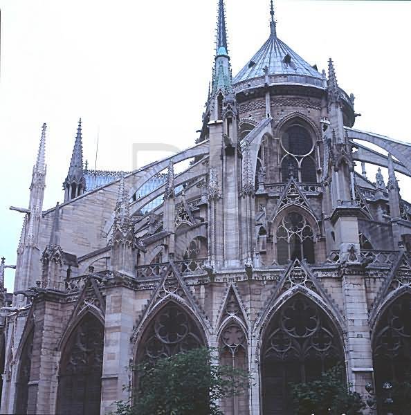 Beautiful Flying Buttresses At Notre Dame de Paris Picture