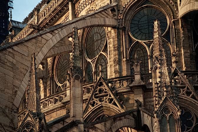Beautiful Flying Buttresses Of Notre Dame de Paris