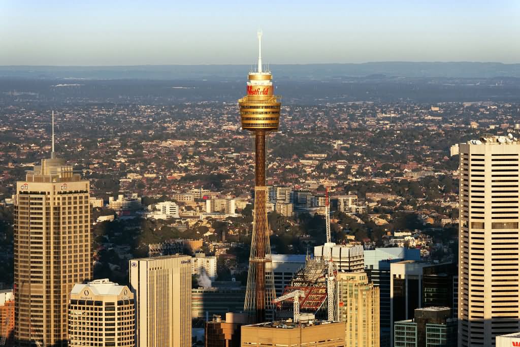 Beautiful Picture Of Sydney Tower